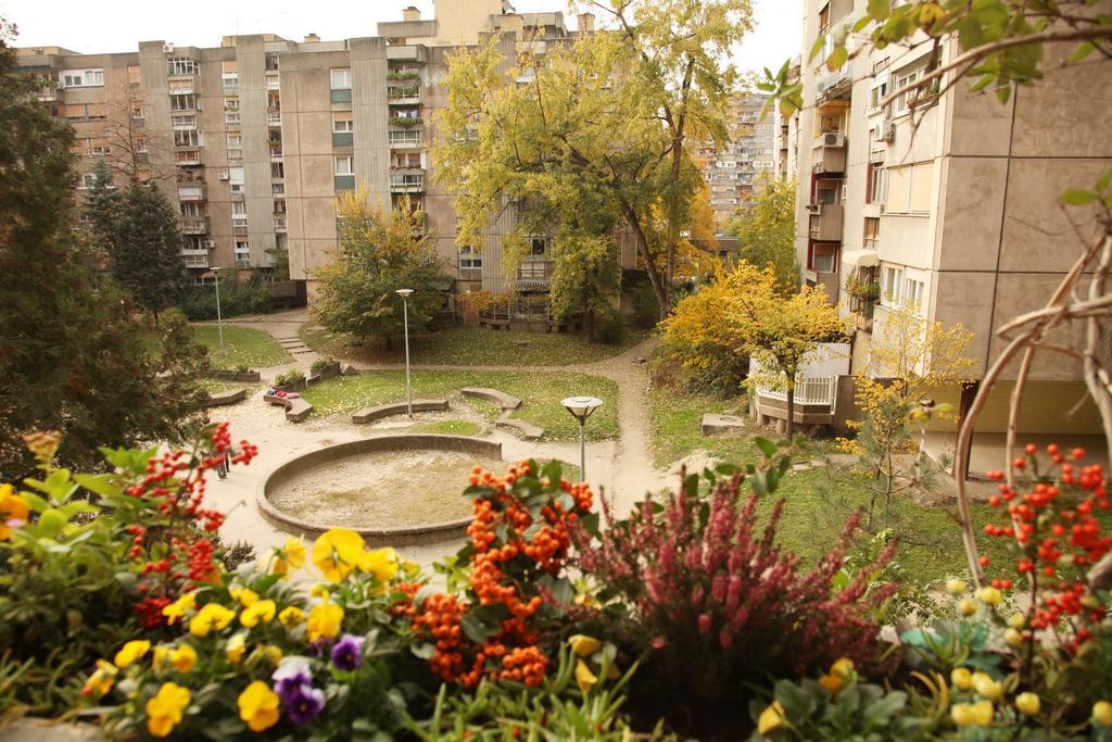Apartment Spacious Liman Novi Sad Buitenkant foto