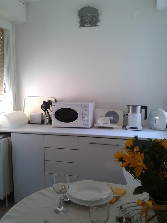 Apartment Spacious Liman Novi Sad Buitenkant foto